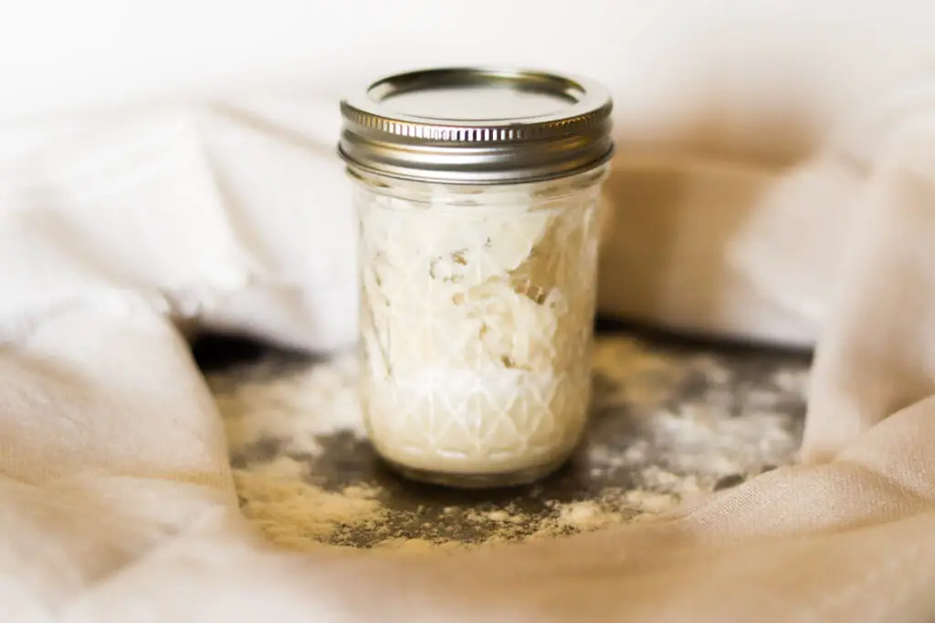 Sourdough starter in a small mason jar with the lid on