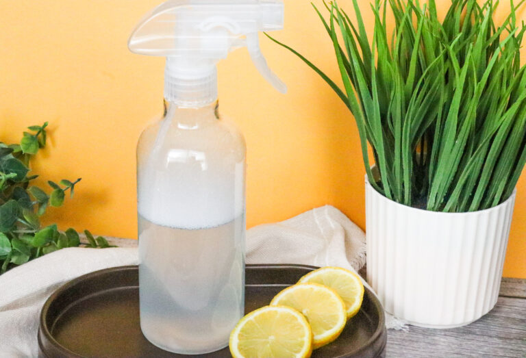 Home Made Carpet Cleaning with lemon slices on brown tray