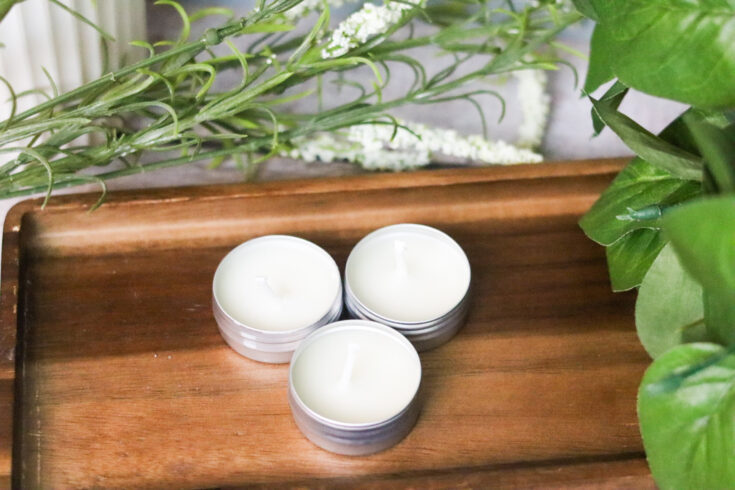 candles for mosquito repellent on wooden tray next to plants